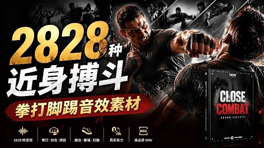 （19072期）宝藏级别音效！2828种近身搏斗拳打脚踢音效素材，全部中文分类，免解压使用  Close Combat-来友网创