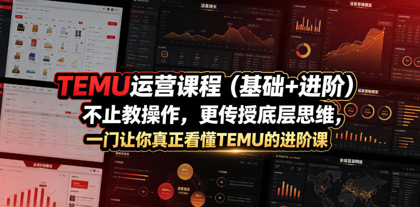 TEMU运营课程（基础+进阶），不止教操作，更传授底层思维，一门让你真正看懂TEMU的进阶课-来友网创