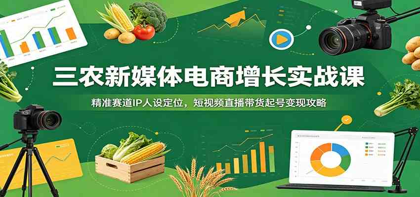 三农新媒体电商增长实战课：精准赛道IP人设定位，短视频直播带货起号变现攻略-来友网创