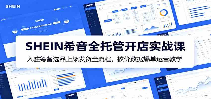 SHEIN希音全托管开店实战课：入驻筹备选品上架发货全流程，核价数据爆单运营教学-来友网创