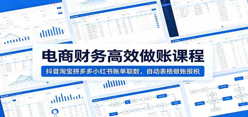 电商财务高效做账课程：抖音淘宝拼多多小红书账单取数，自动表格做账报税-来友网创