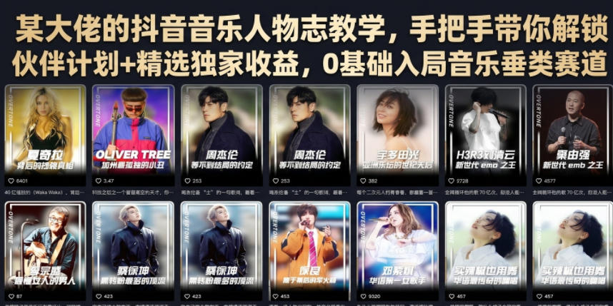 某大佬的抖音音乐人物志教学，手把手带你解锁伙伴计划+精选独家收益，0基础入局音乐垂类赛道-来友网创