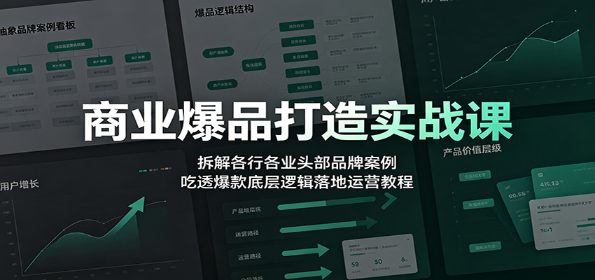 商业爆品打造实战课：拆解各行各业头部品牌案例，吃透爆款底层逻辑落地运营教程-来友网创