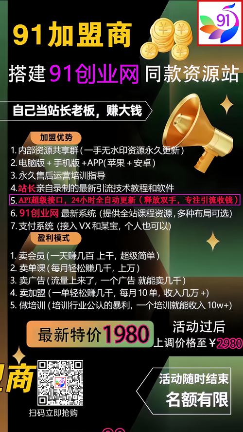 图片[11]-【001期】91创业网加盟商，开一个知识付费资源网站，小白也能月入5000+-来友网创