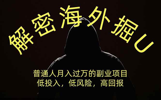 （19841期）解密海外掘U，普通人月入过万的副业项目，低投入、低风险高回报，没有之一-来友网创