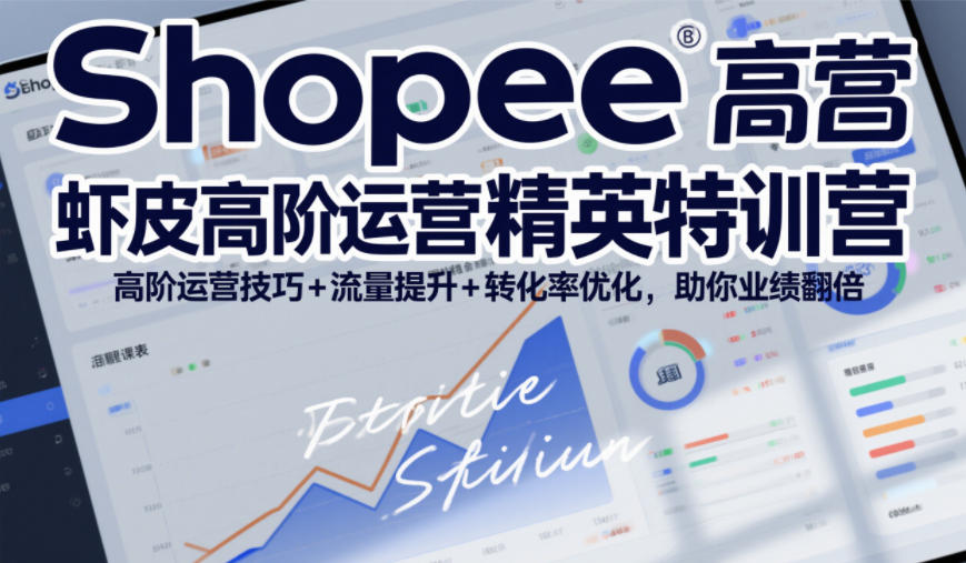 Shopee虾皮高阶运营精英特训营，高阶运营技巧+流量提升+转化率优化，助你业绩翻倍（更新26年9月）-来友网创